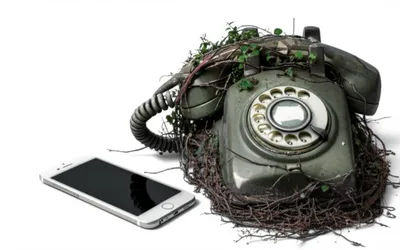 Illustration fossil - Image 1