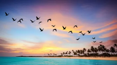 Illustration downward - Image 1