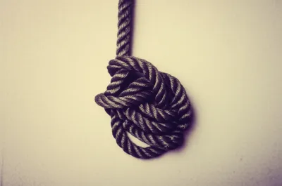 Illustration top - Image 1