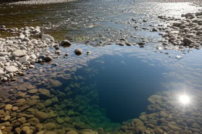 Illustration dump - Image 1