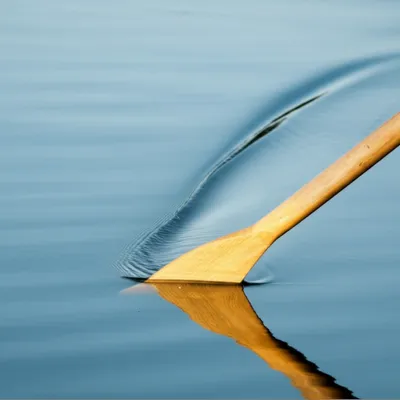 Illustration peel - Image 1