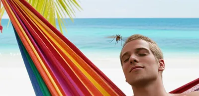 Illustration importunes