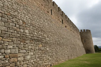 Illustration batter - Image 1