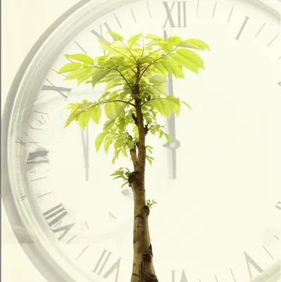 Illustration accrue - Image 1