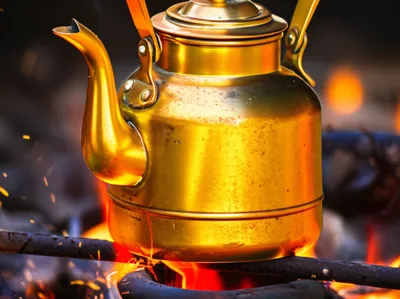 Illustration brazened - Image 1