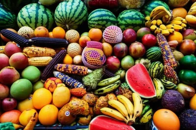 Illustration variegated - Image 1