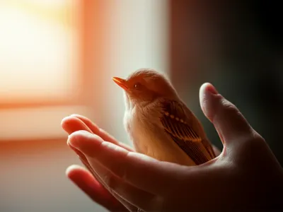 Illustration redeem - Image 1