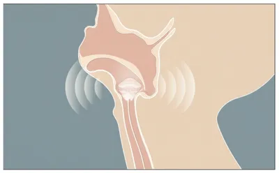 Illustration voicing - Image 1