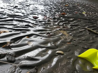 Hình ảnh minh họa quicksands