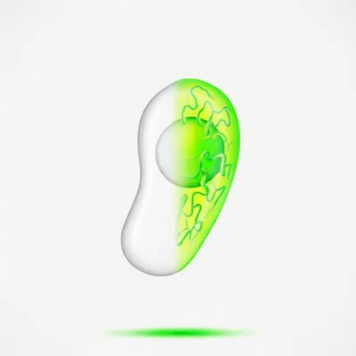 Illustration transforming - Image 1