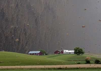 Illustration swarms - Image 1