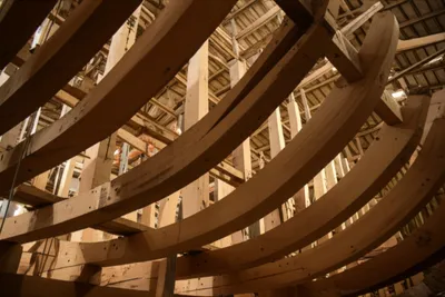 Illustration rib - Image 1