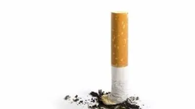 Illustration butt - Image 2