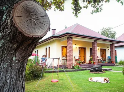 Illustration resided