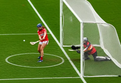 Illustration pucks - Image 1