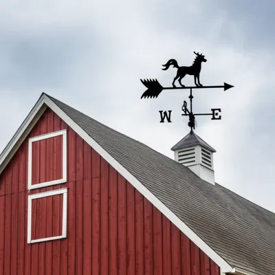 Illustration vane - Image 1