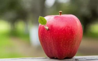 Illustration excrescence