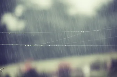 Illustration mizzle - Image 1