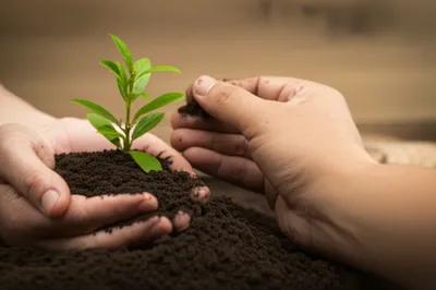 Illustration works - Image 1