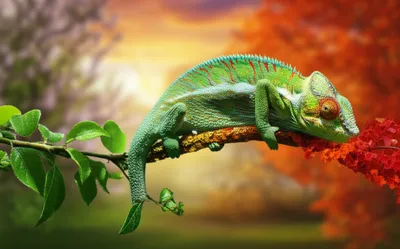 Illustration varied - Image 1