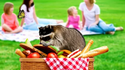 Illustration snaffled - Image 1