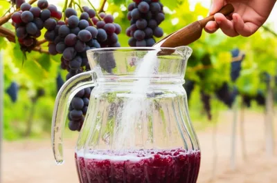 Illustration chaptalization