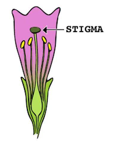 Illustration stigma - Image 2