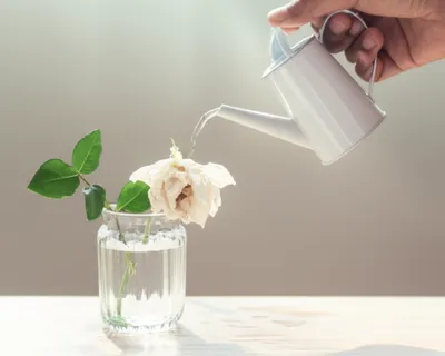 Illustration patients - Image 1