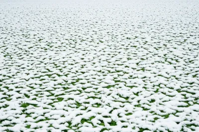 Illustration covered - Image 1