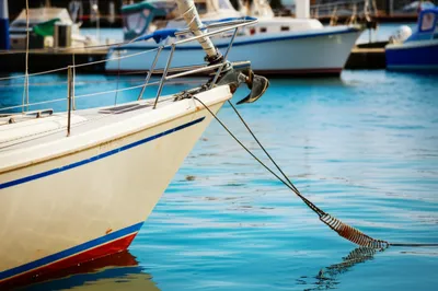 Hình ảnh minh họa springing - Ảnh 1