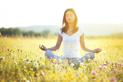 Illustration tranquilizes - Image 1