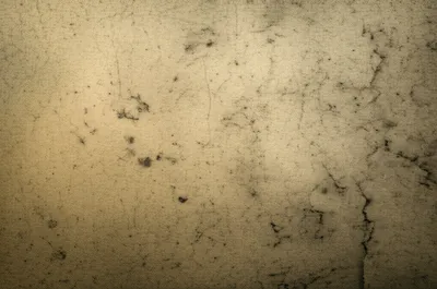 Illustration must - Image 1