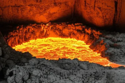 Illustration salamanders - Image 1