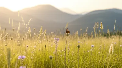 Illustration sleeping - Image 1