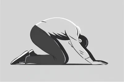 Illustration prostrate - Image 1