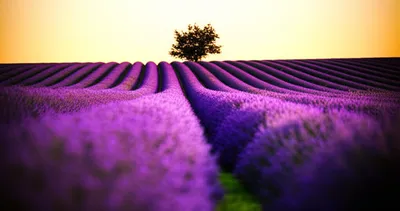 Illustration repose - Image 1