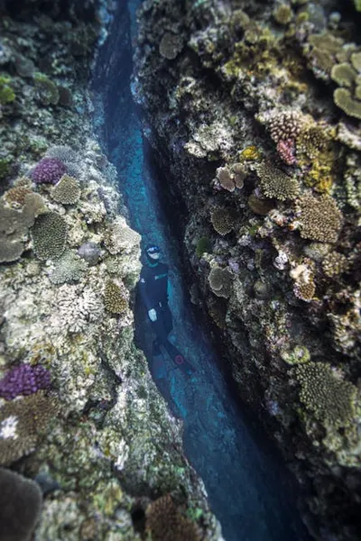 Illustration riffs - Image 2