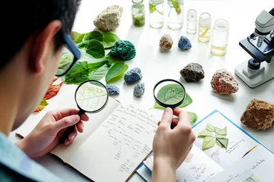 Illustration empiricist