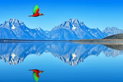 Illustration reflexion - Image 1