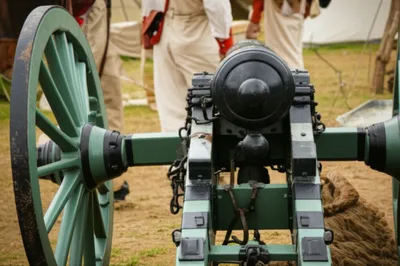 Illustration limbers - Image 1