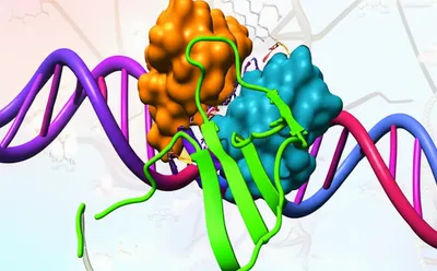 Illustration biochemistry - Image 1