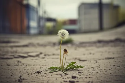 Illustration lo - Image 1