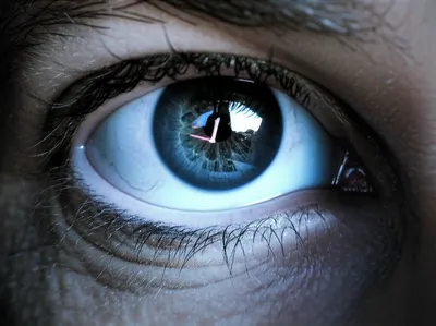 Hình ảnh minh họa steely - Ảnh 1