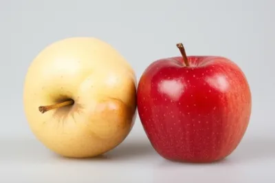 Illustration malformation