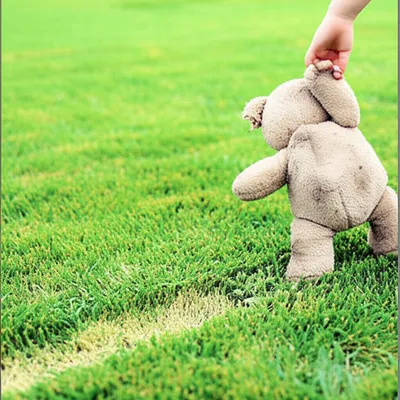 Illustration trails - Image 1