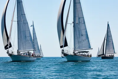 Illustration canvasses - Image 1