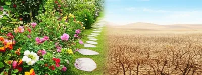 Illustration shed - Image 1