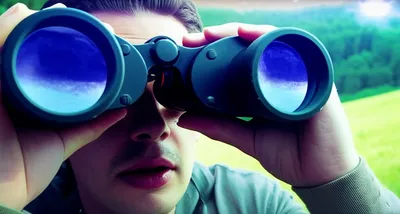 Illustration sighting