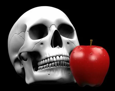 Illustration juxtaposes