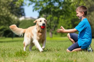 Illustration fetching - Image 1